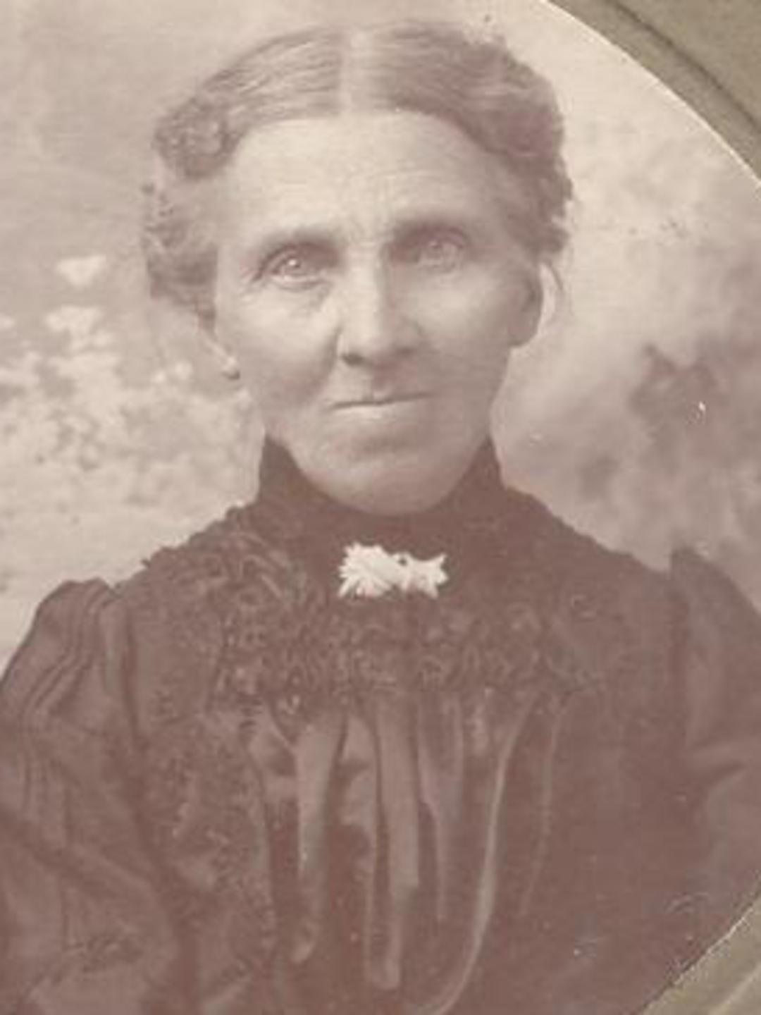 Anna Elizabeth Ericksen (1846 - 1936) Profile